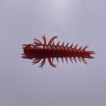 Case Large Hellgrammite