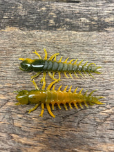 Case Large Hellgrammite