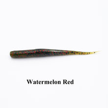 Case Jack's Worm