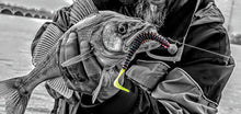 Zipper 5" Original Worm